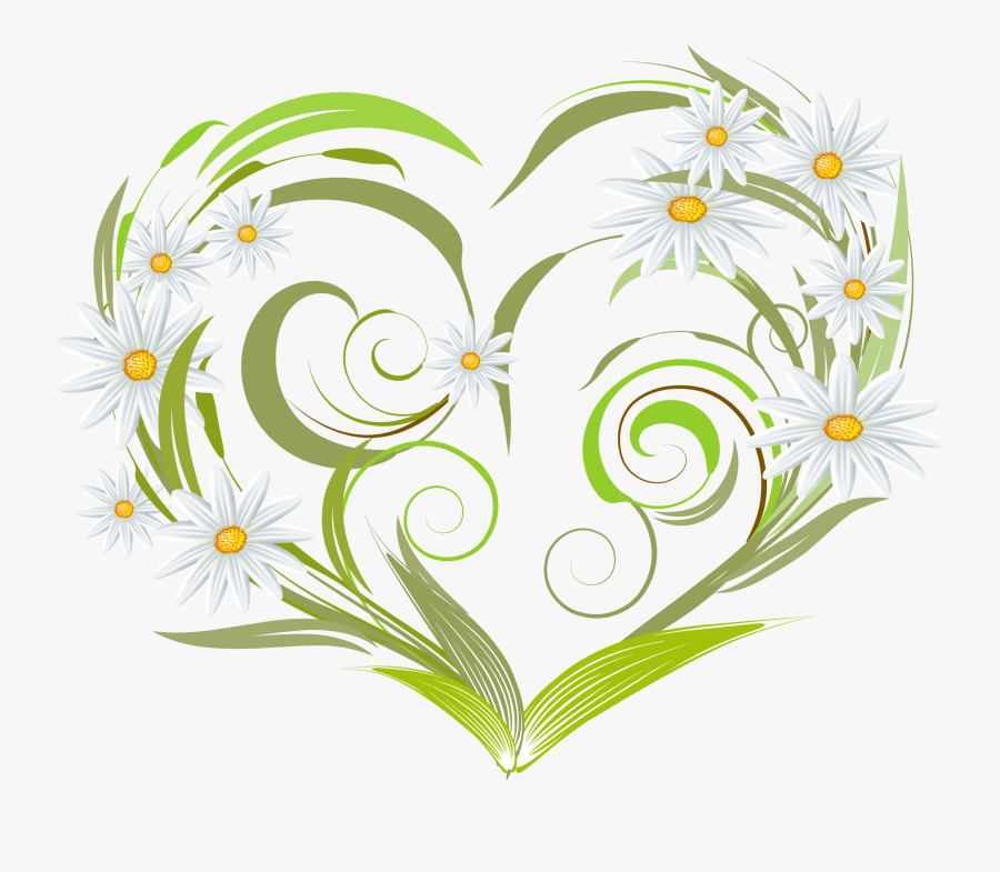 Pin By Светлана On Картинки На Белом Фоне - Heart Vector, Transparent Clipart