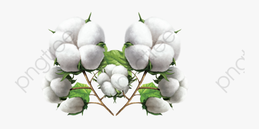 Plant Home Textiles Transparent - Dibujos De Plantas Textiles, Transparent Clipart