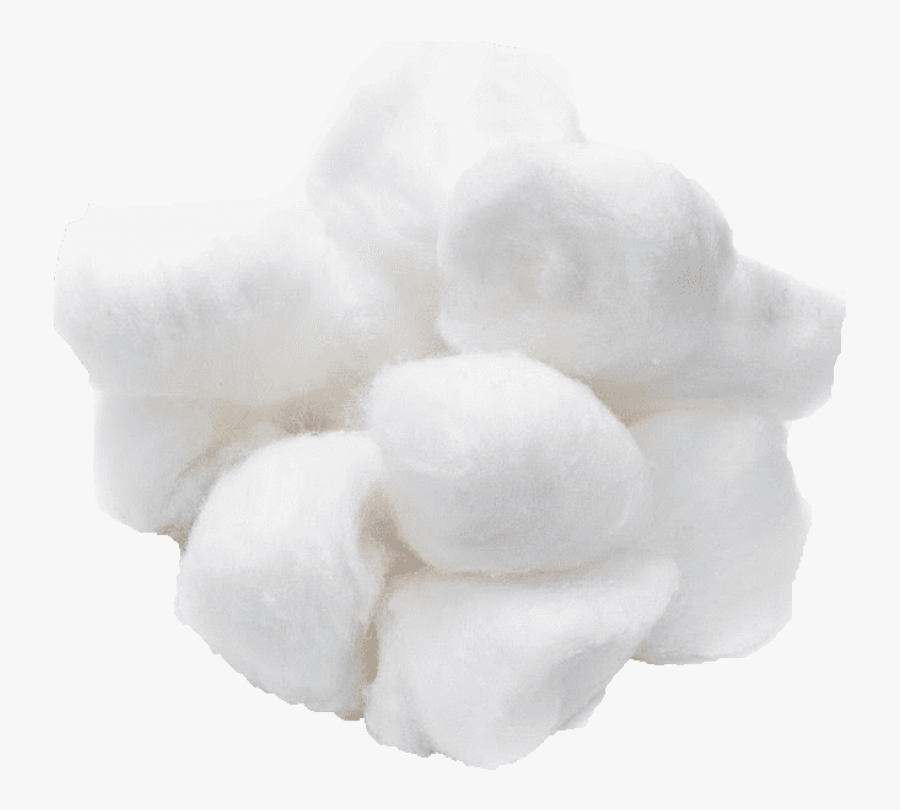 Cotton Ball Png Clipart , Png Download - Tremella, Transparent Clipart