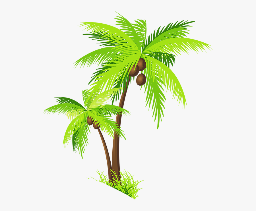Coconut Tree Clipart Transparent, Transparent Clipart