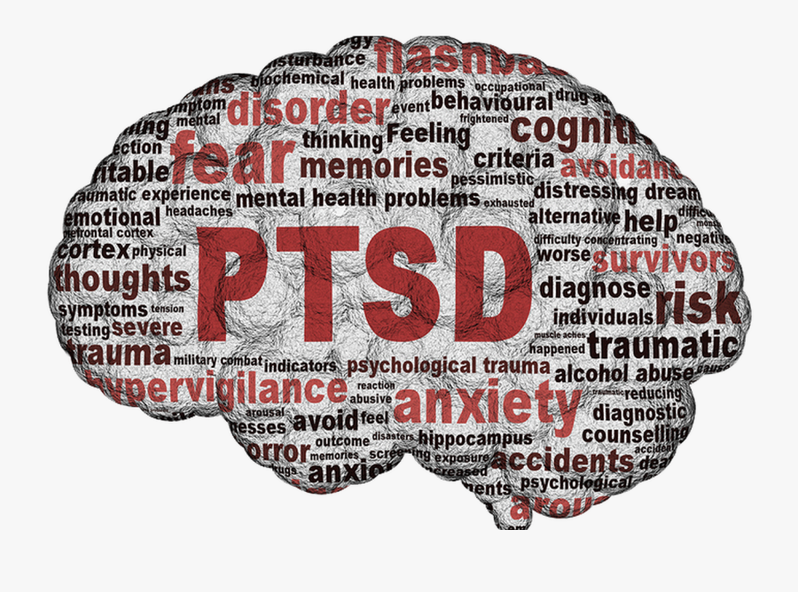 Transparent Psychology Clipart - Illustration, Transparent Clipart