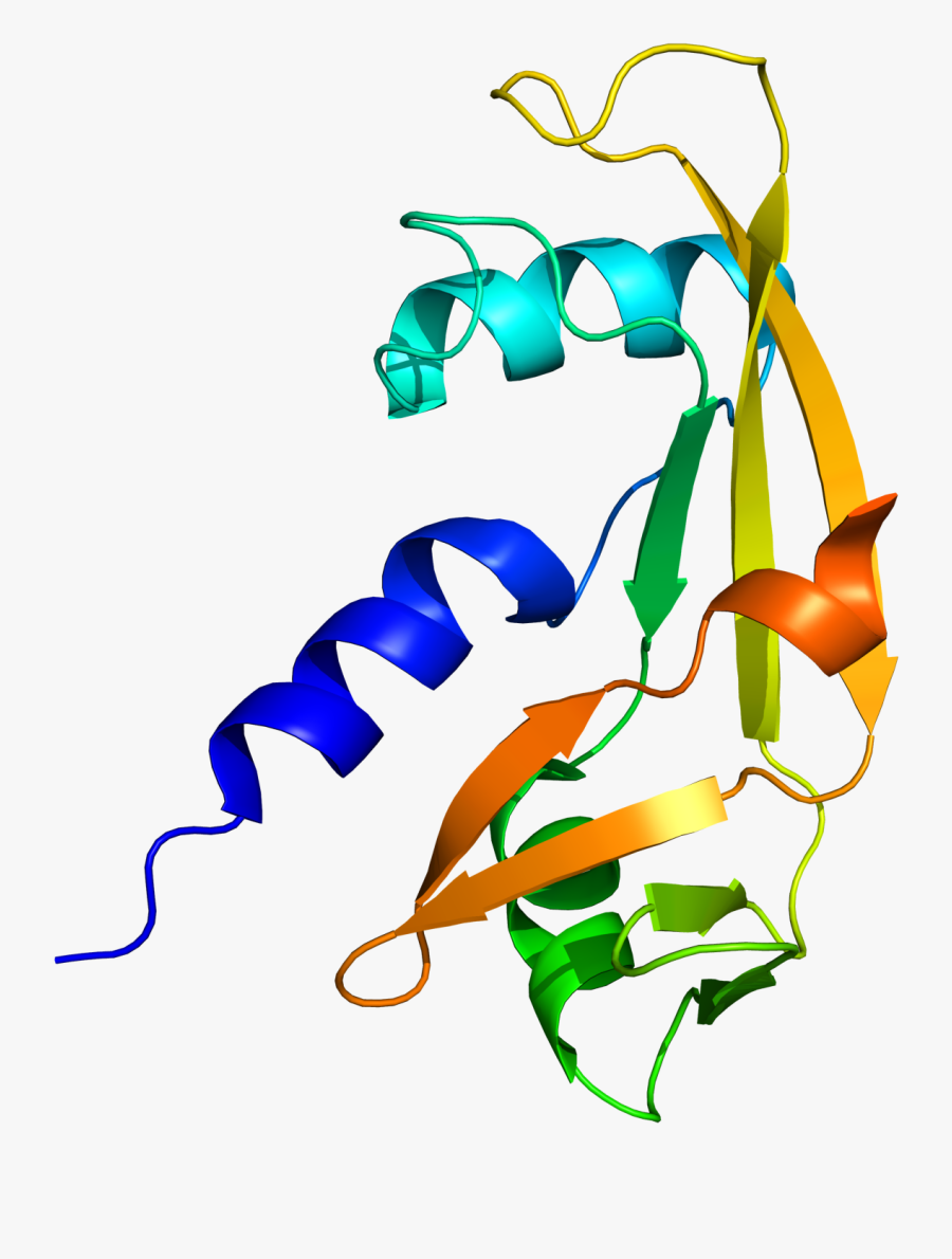 Transparent Clues Clipart - 3d Image Of Angiogenin, Transparent Clipart