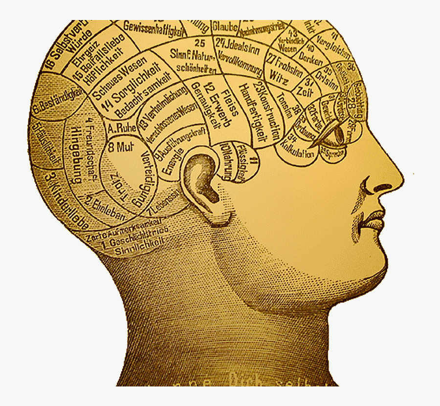 Transparent Decision Making Clipart - Illustration, Transparent Clipart