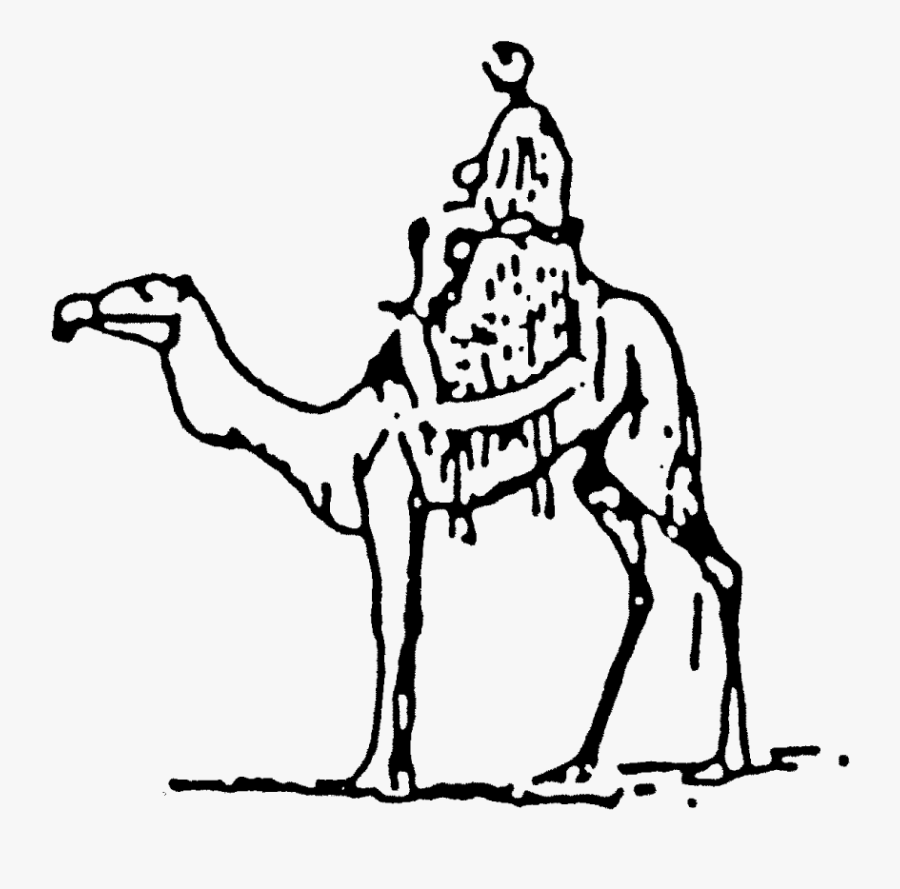 Camel With Rider Line Art, Transparent Clipart