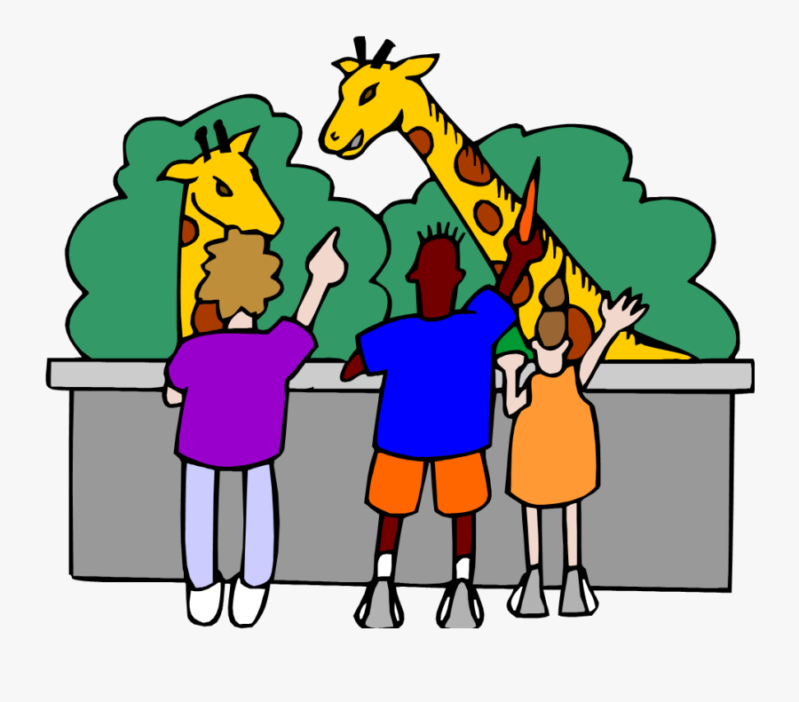 Birthday Party Program Themes - 10 Sentences About Zoo, Transparent Clipart