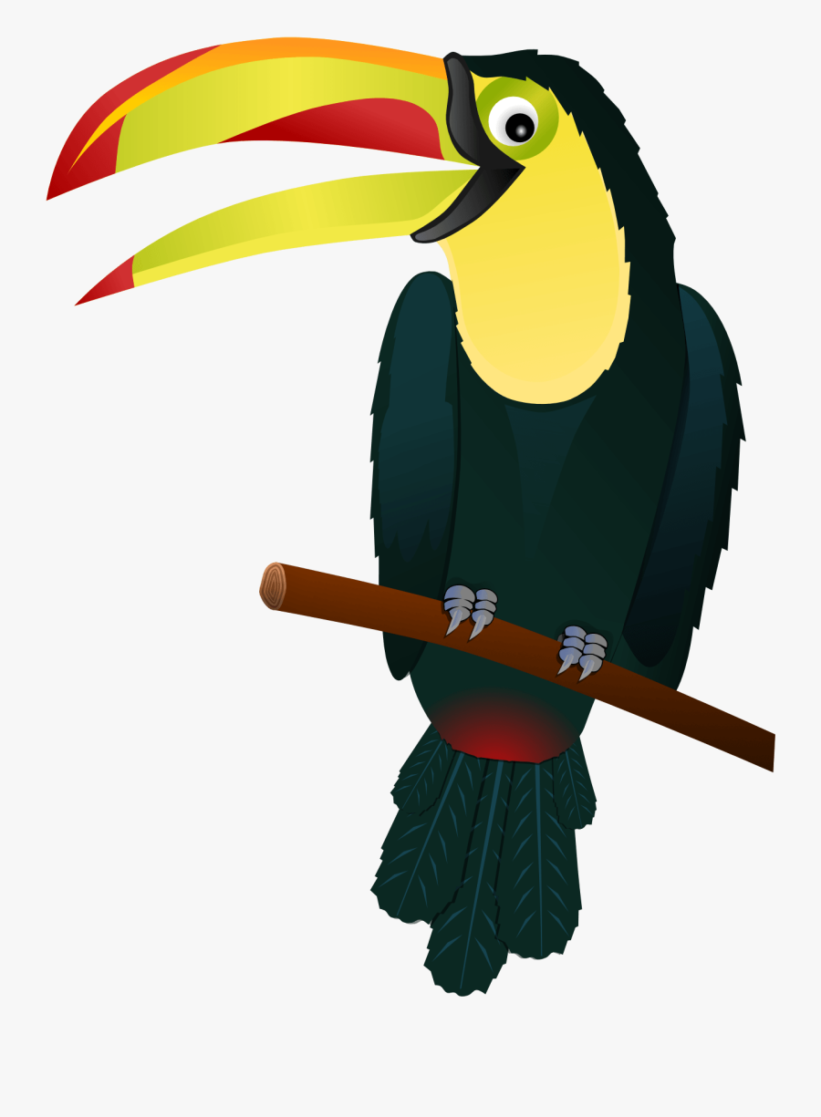 Zoo Clip Art Download - Toucan Clipart Transparent Background, Transparent Clipart