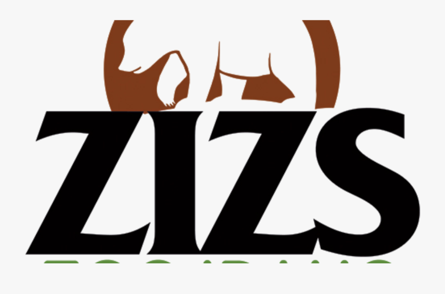 Zizs Graphic Identity, Transparent Clipart