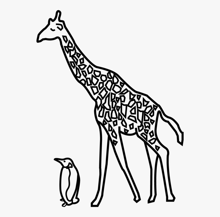 Giraffe, Transparent Clipart