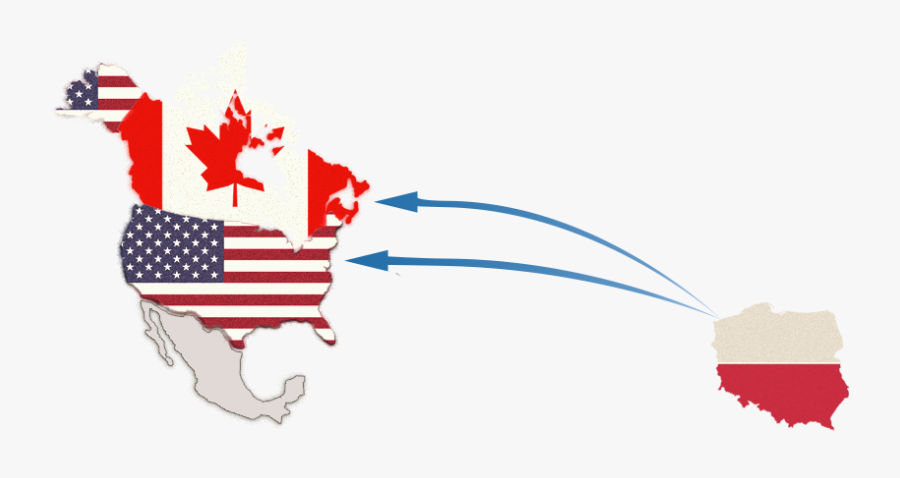 Moreover, We Provide Complex Custom Service - Illustration, Transparent Clipart