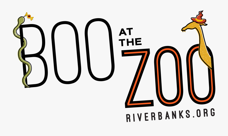 Giraffe, Transparent Clipart