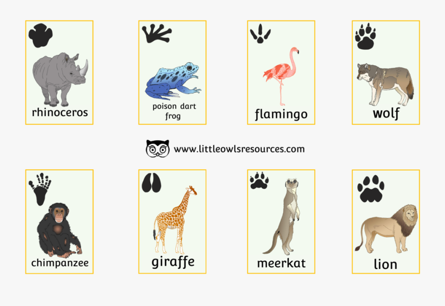 Zoo Picture Snap Cover, Transparent Clipart