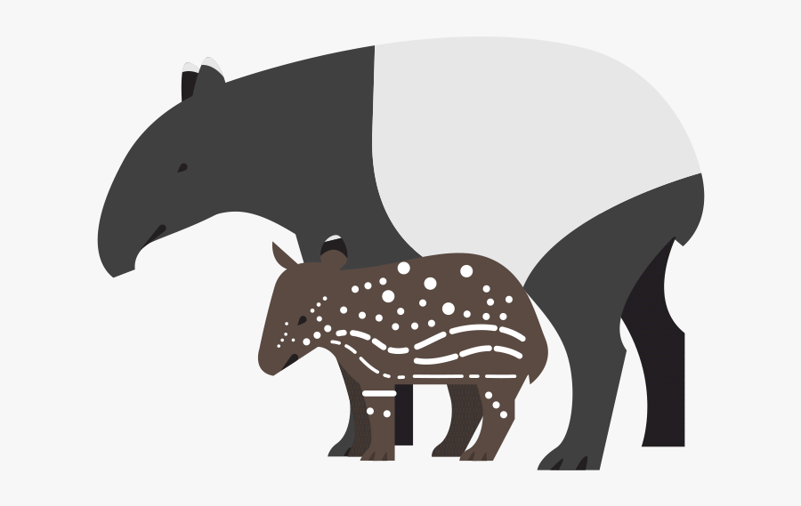 Tapir Clipart Denver Zoo Hippopotamus Clip Art - Tapir Transparent Background, Transparent Clipart