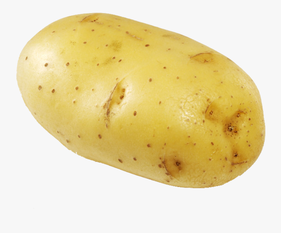 Vector Clipart, Transparent Clipart