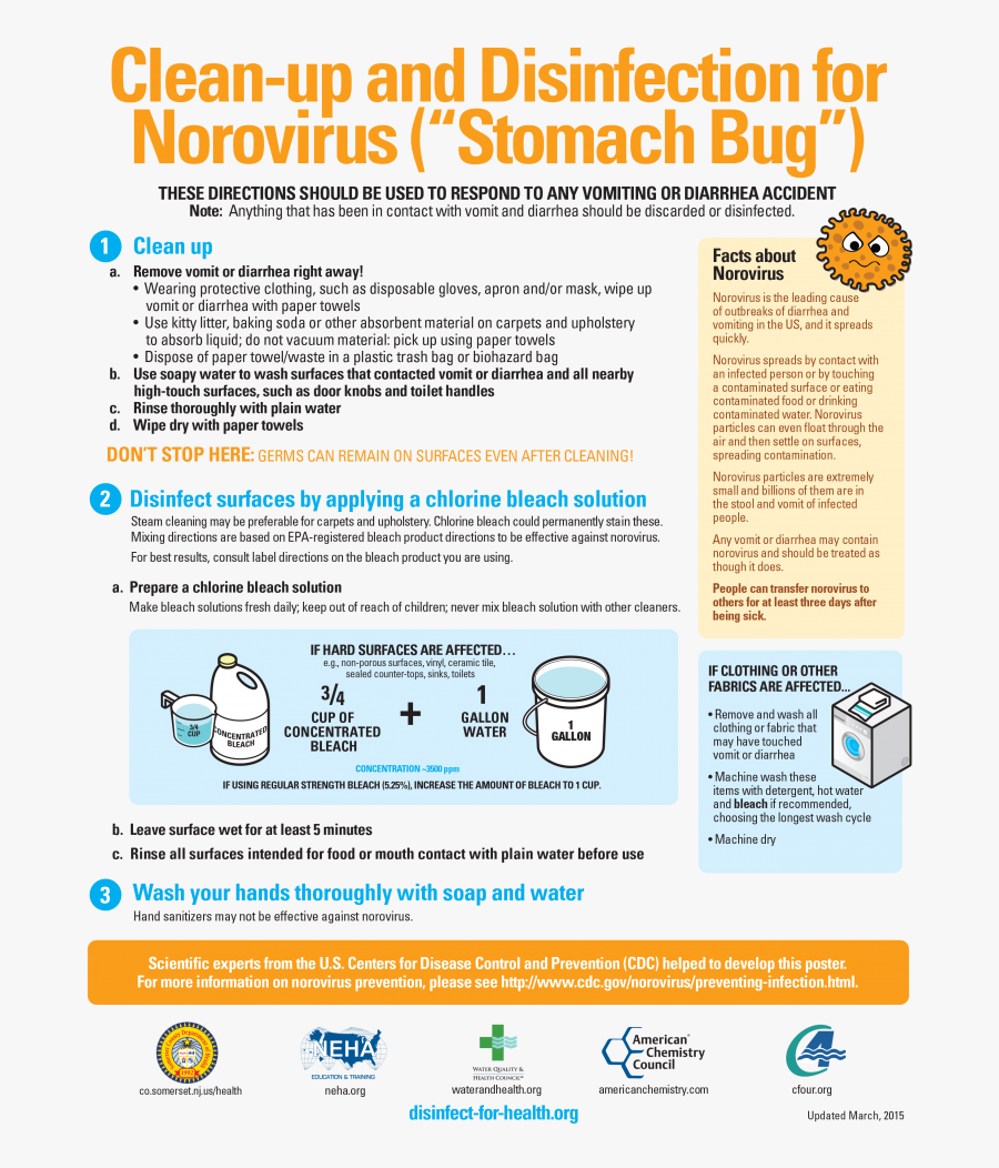 Clean Up Infographic - Norovirus Clean Up Procedure, Transparent Clipart