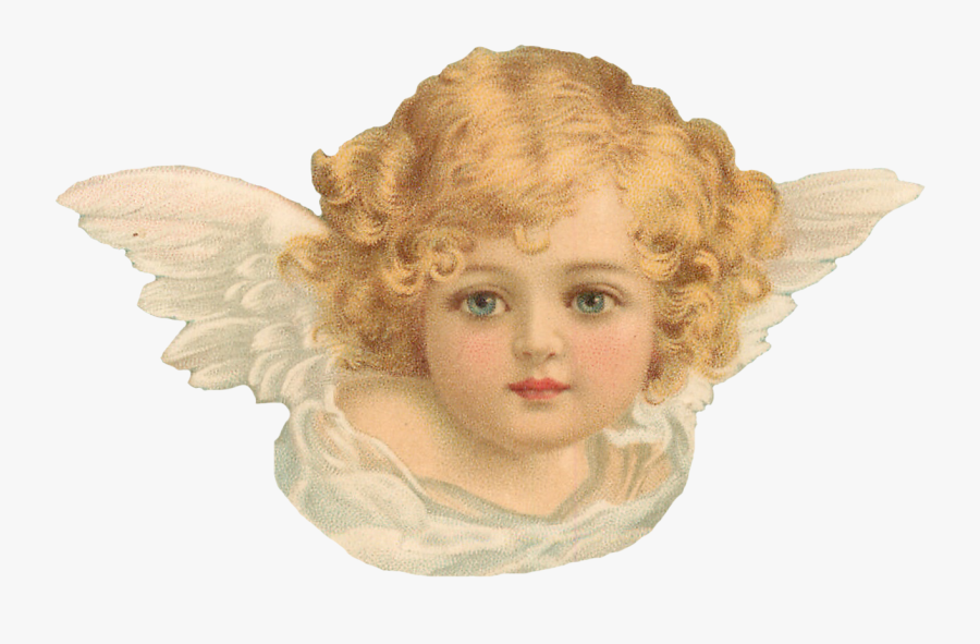 About Us - Cherub Angel, Transparent Clipart