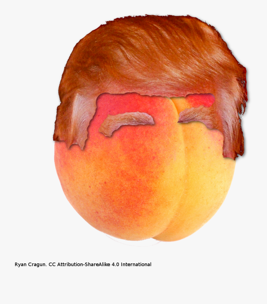 Donald Trump Ryan And, Transparent Clipart