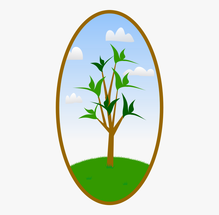 Oval Tree Landscape - Clip Art, Transparent Clipart