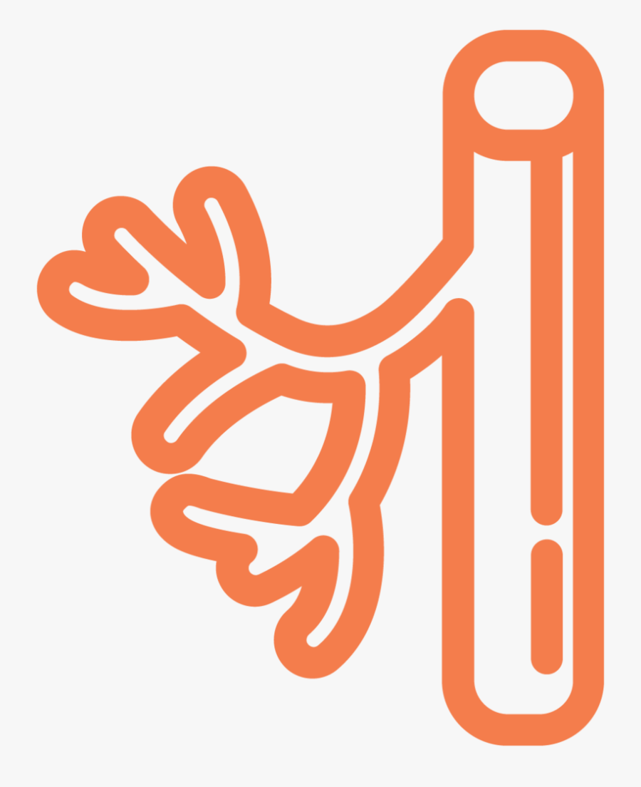 Blood Vessel Ecm Cell Culture Substrates - Png Vascular Surgery, Transparent Clipart