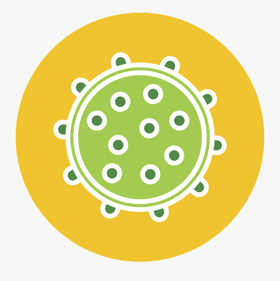 Transparent Testing Clipart - Std Clipart, Transparent Clipart