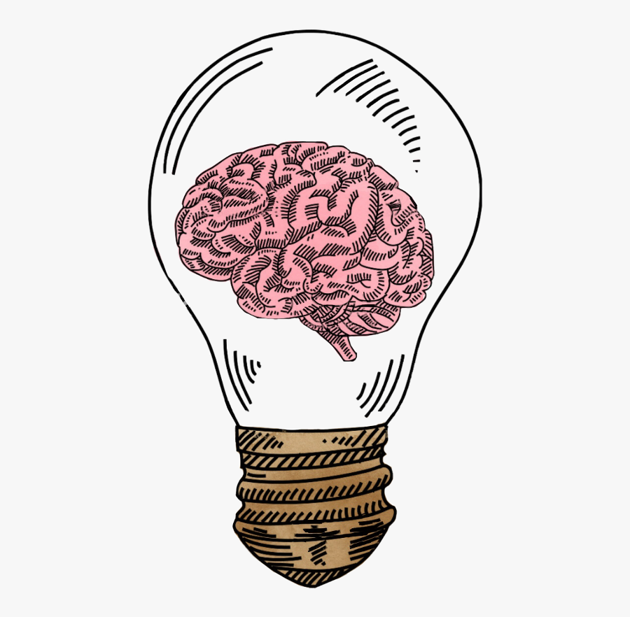 Transparent Brain Surgery Clipart - Human Brain Draw, Transparent Clipart