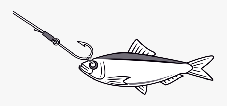 Escolar, Transparent Clipart