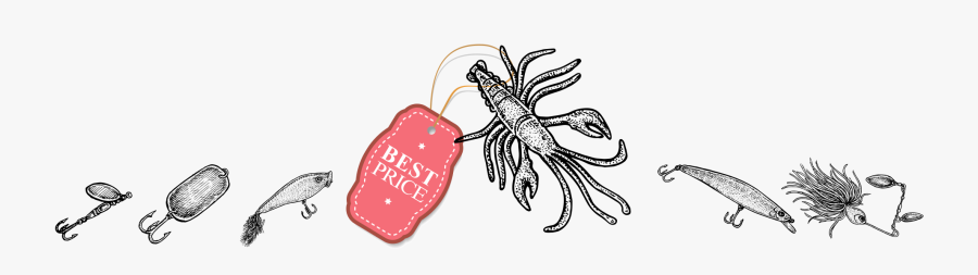 A Big Drawback Of Lures Versus Live Bait Is The Cost - Bug, Transparent Clipart