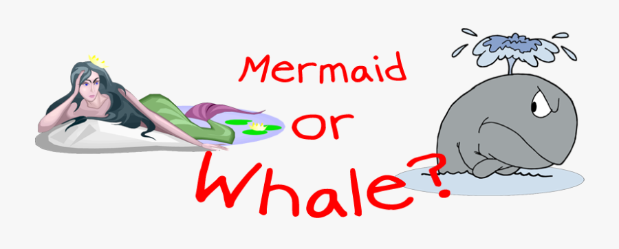 Denial And Fear Disguised - Fitness Whale, Transparent Clipart