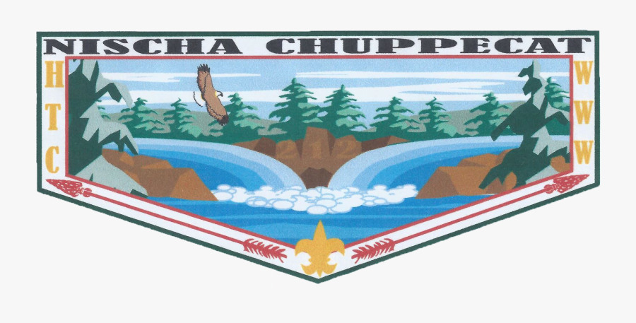 Shortleaf Black Spruce, Transparent Clipart