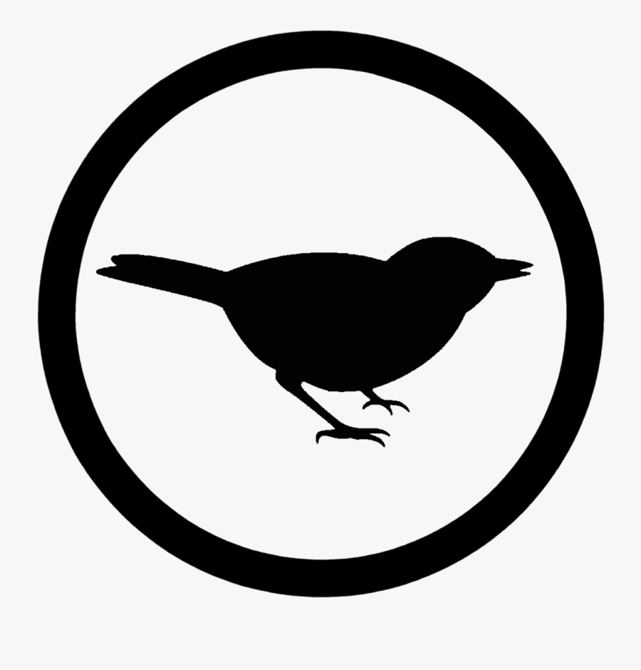 Bird Creatures Life Free Photo - Icone Passaro Png, Transparent Clipart