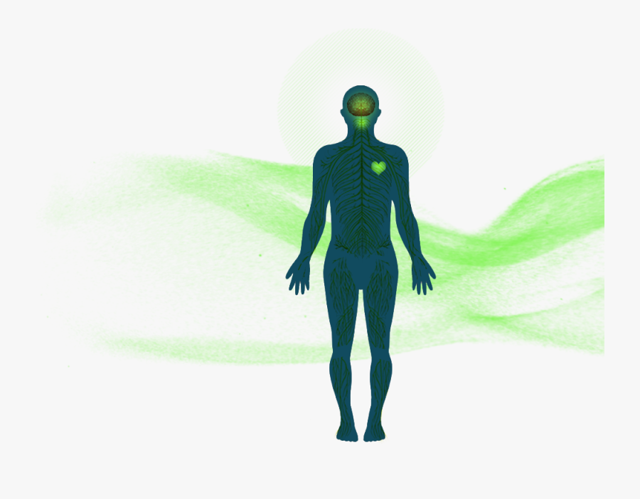 Vector Graphics Portable Network Graphics Clip Art - Woman Silhouette Standing, Transparent Clipart