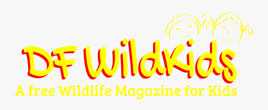 Df Wildkids Magazine October 2016 Video Edition - Graphic Design, Transparent Clipart