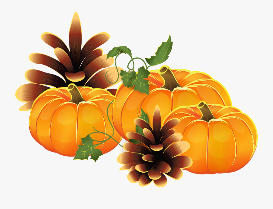 Pumpkin Png - Pumpkin On The Vine Clipart, Transparent Clipart
