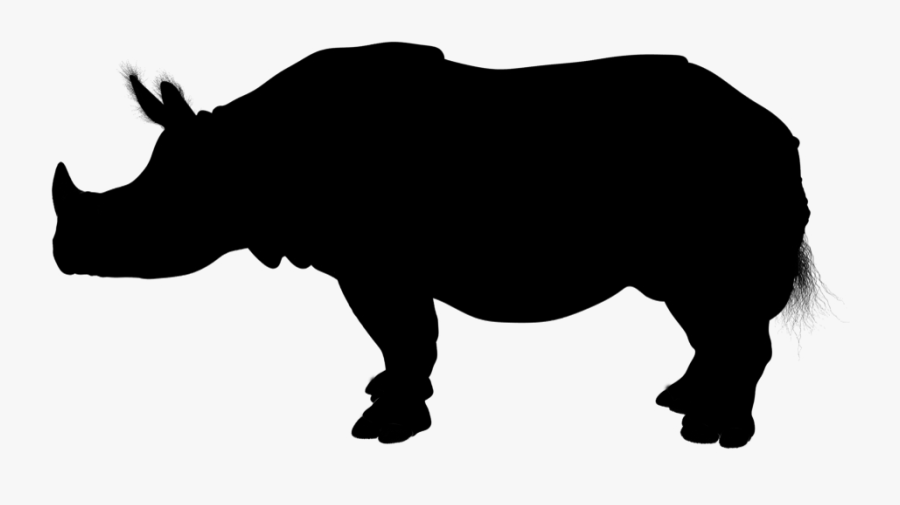 Miniature Zebu Brahman Cattle Vector Graphics Image - Black Rhinoceros, Transparent Clipart