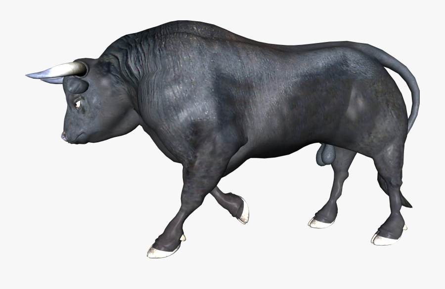 Zebu Ox Bull Water Buffalo - Buffalo Running Transparent, Transparent Clipart
