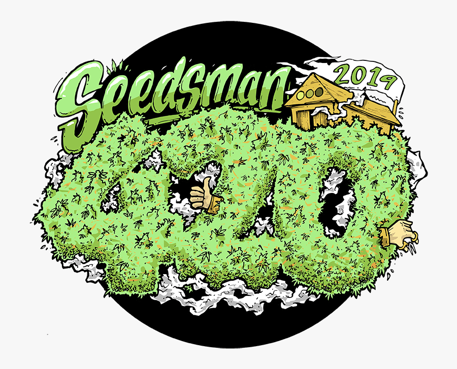 Graphic Design, Transparent Clipart