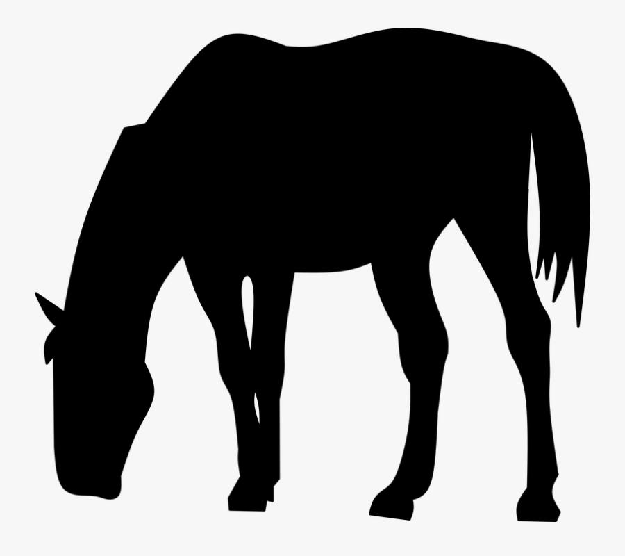 Silhouette, Horse, Isolated, Black, Eating, Beautiful - Silueta De Un Caballo Comiendo, Transparent Clipart
