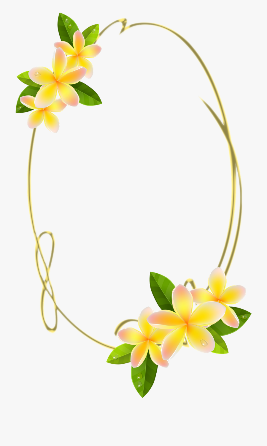 Frames Png Oval Com Flores Clipart , Png Download - Frangipani Png, Transparent Clipart