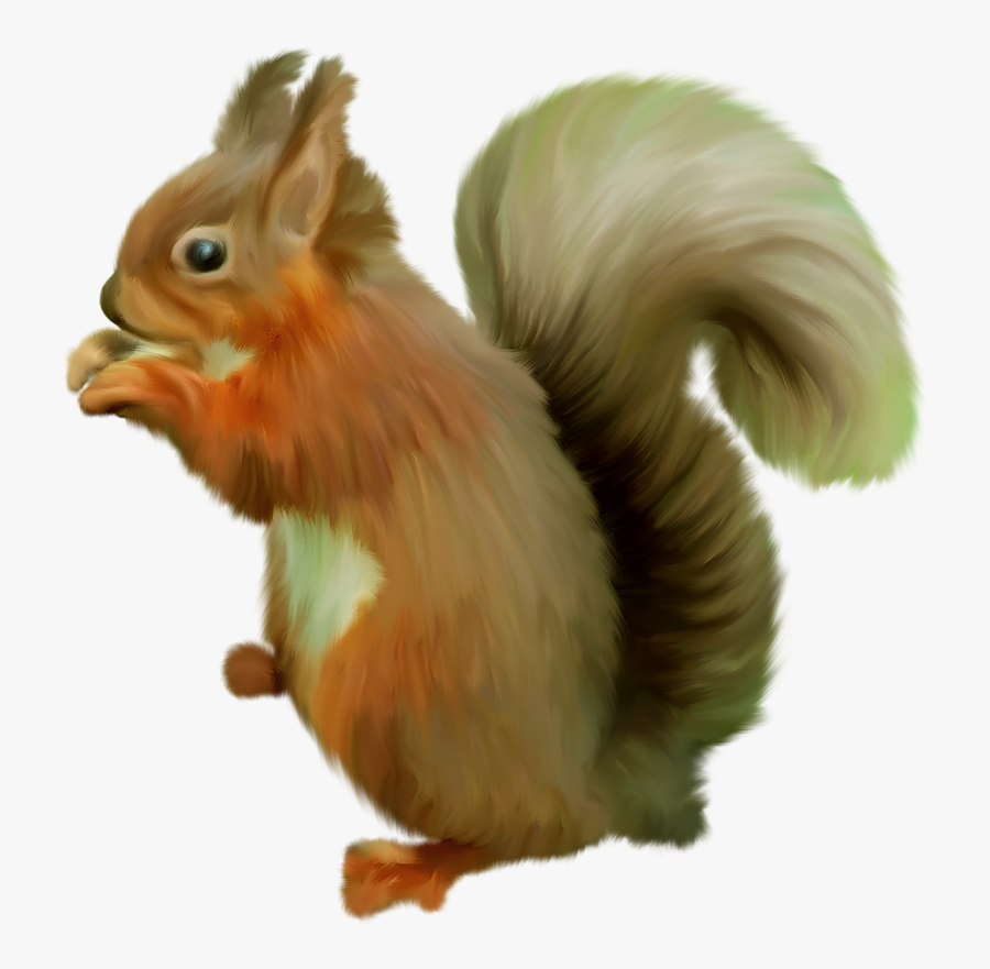 24 Clipart Em Png De Esquilos Para Fotomontagens,clique - Animal Gimp, Transparent Clipart