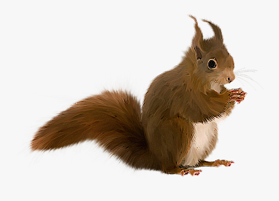Baixar Clipart Png De Esquilos No Depositfiles - Gif De Ardillas Png, Transparent Clipart