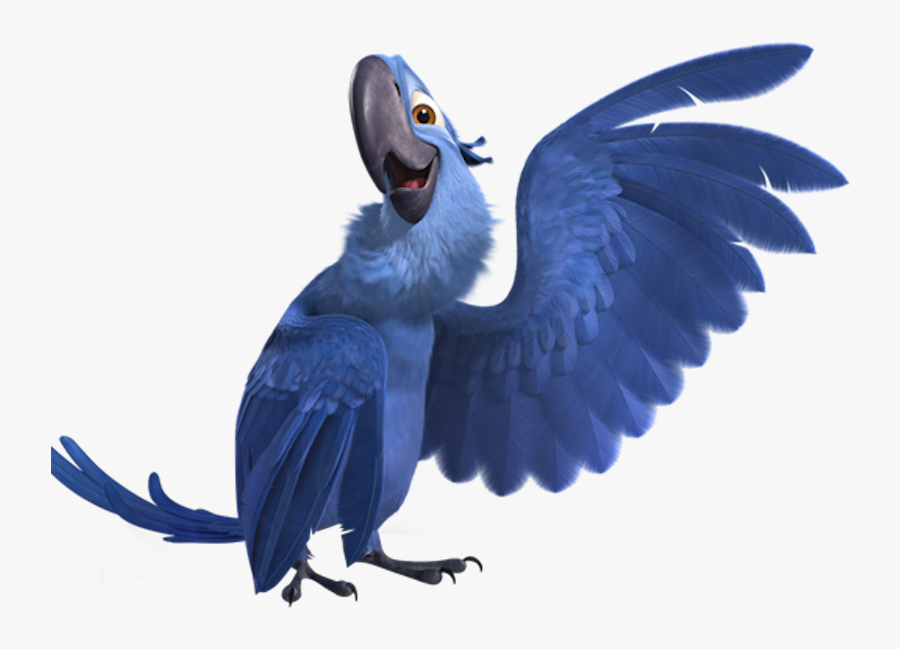 Download Macaw Rio Full Transparent Background - Blue Sky Studios 2019, Transparent Clipart