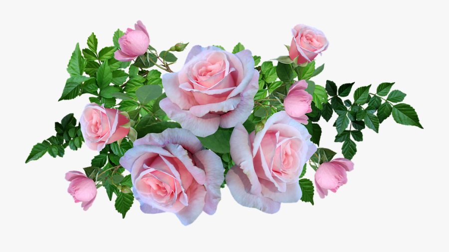 How Do I Wish My Ex Happy Marriage - Christian Good Morning Message, Transparent Clipart