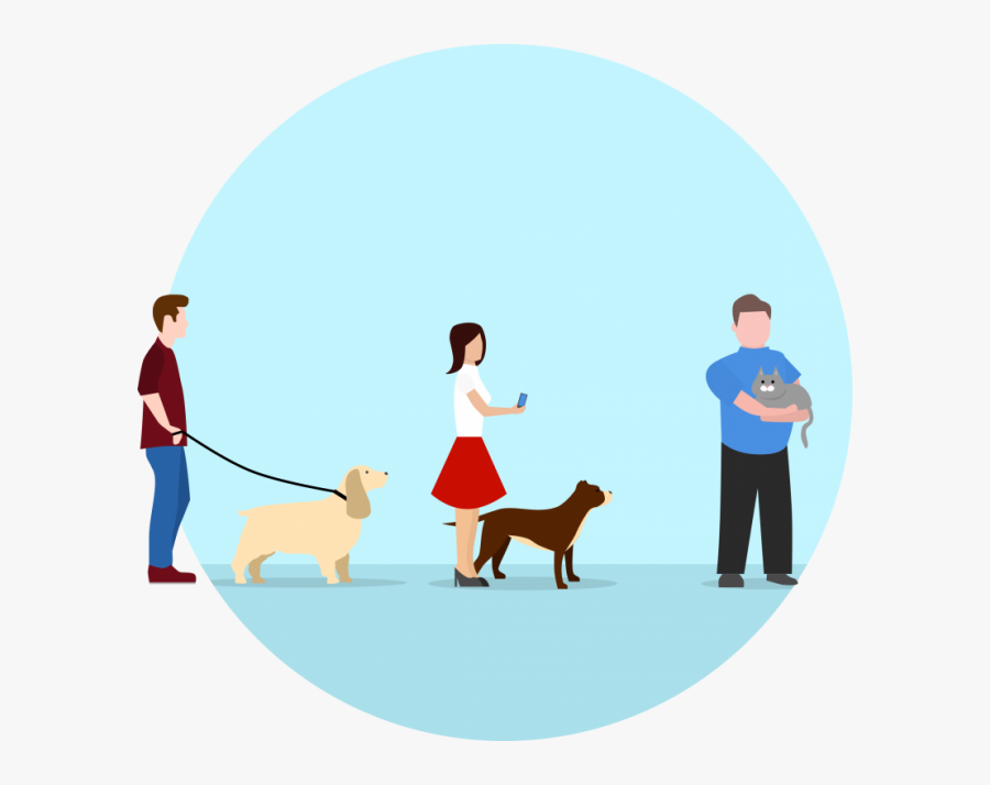 Golden Retriever, Transparent Clipart