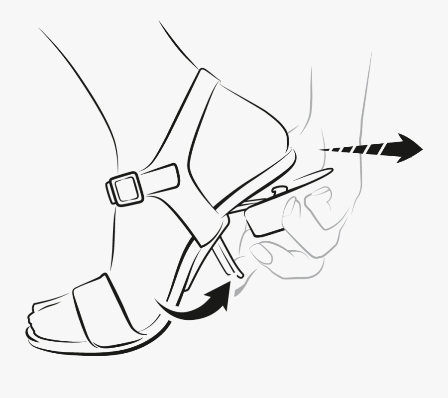 Sketch, Transparent Clipart