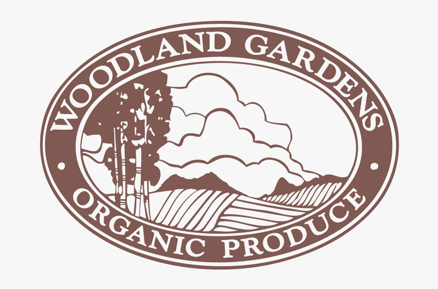 Woodland - Illustration, Transparent Clipart