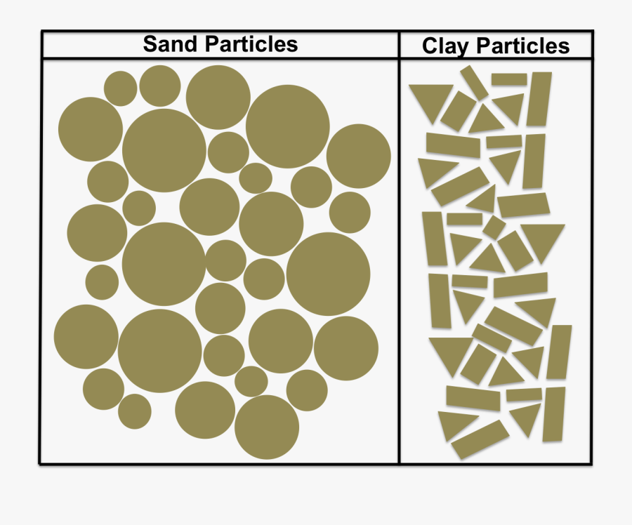 Circle, Transparent Clipart