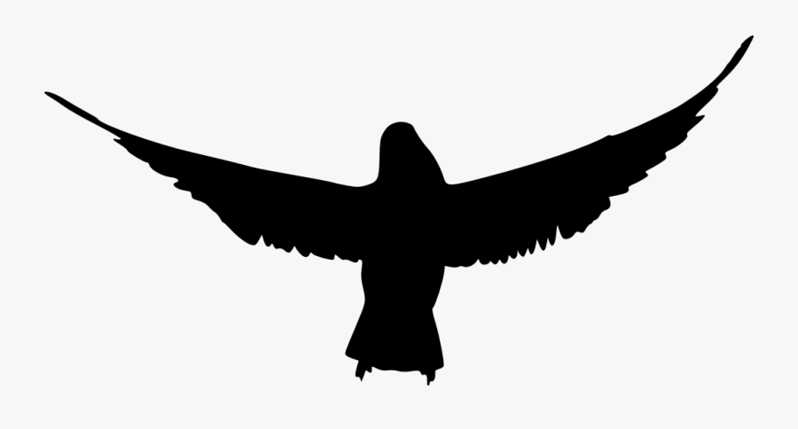 Bird Silhouette Beak Clip Art - Bird Silhouette Transparent Background, Transparent Clipart