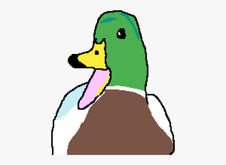 Mallard, Transparent Clipart