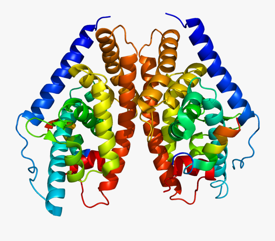 H2 Receptor Blocker Market - Liver X Receptor Beta, Transparent Clipart