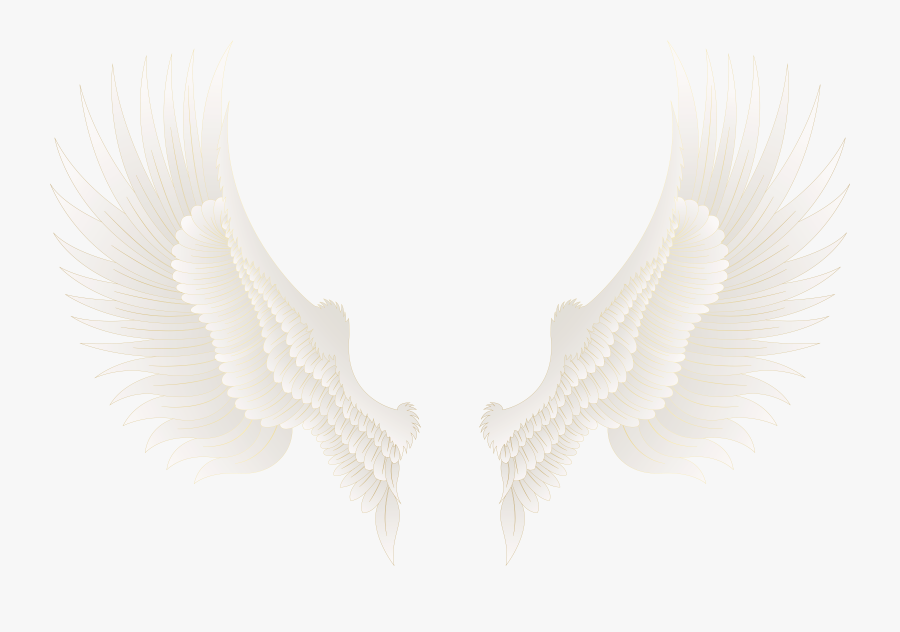 Eyelash Clipart Png - Golden Wings Wings Png Hd, Transparent Clipart