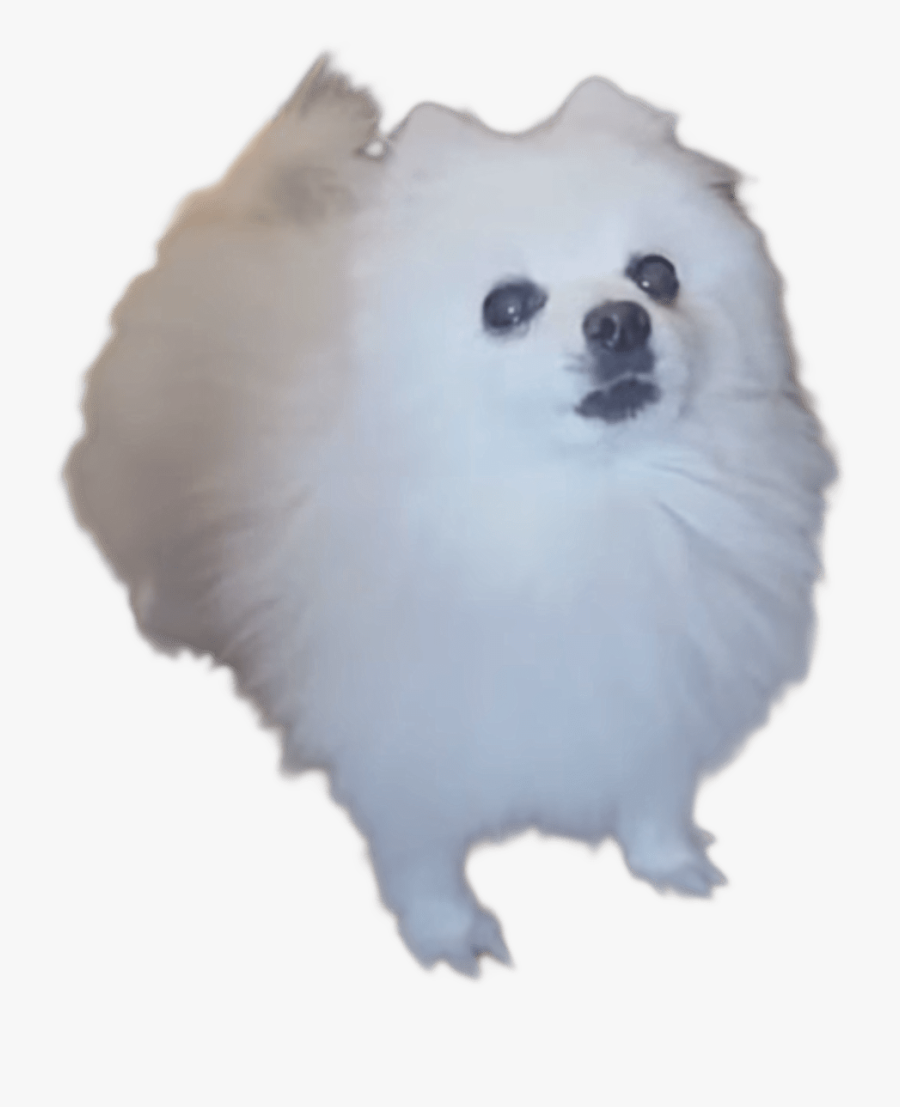 Gabe The Dog Sans, Transparent Clipart